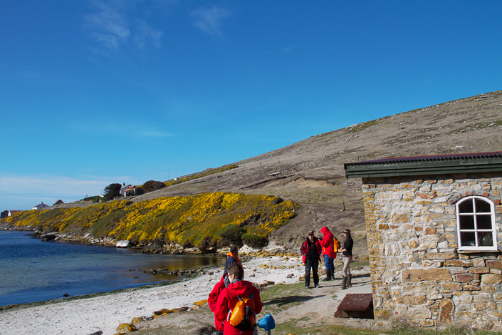 New Island, The Falklands